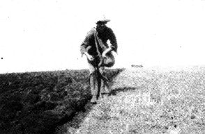 Planting potatoes by hand in 1943